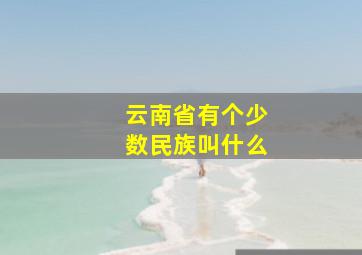 云南省有个少数民族叫什么