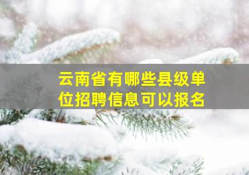 云南省有哪些县级单位招聘信息可以报名