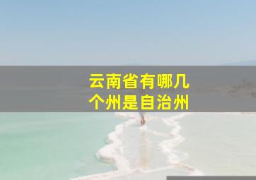 云南省有哪几个州是自治州