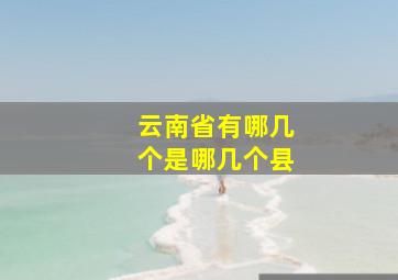 云南省有哪几个是哪几个县