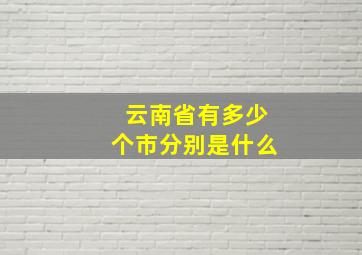 云南省有多少个市分别是什么