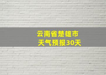 云南省楚雄市天气预报30天