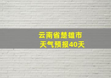 云南省楚雄市天气预报40天