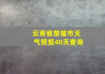 云南省楚雄市天气预报40天查询