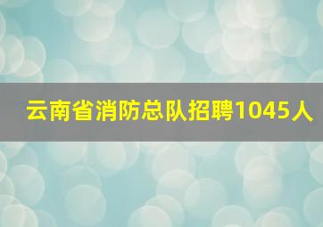 云南省消防总队招聘1045人