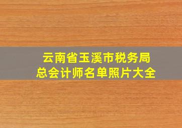 云南省玉溪市税务局总会计师名单照片大全