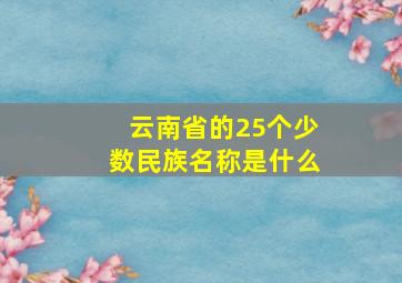 云南省的25个少数民族名称是什么