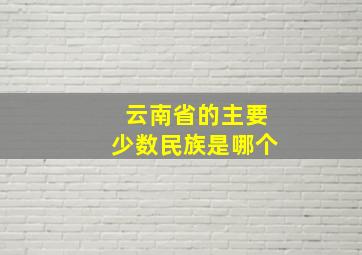 云南省的主要少数民族是哪个