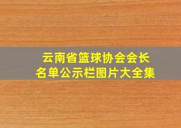 云南省篮球协会会长名单公示栏图片大全集