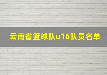 云南省篮球队u16队员名单