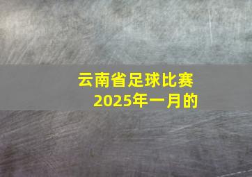 云南省足球比赛2025年一月的