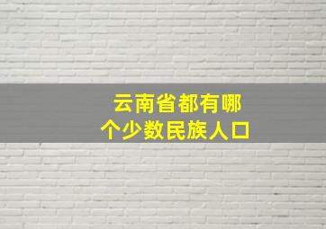 云南省都有哪个少数民族人口