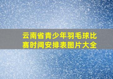 云南省青少年羽毛球比赛时间安排表图片大全