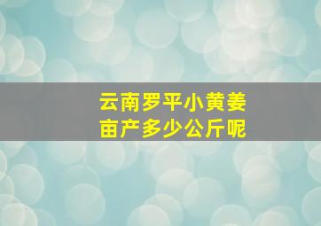 云南罗平小黄姜亩产多少公斤呢