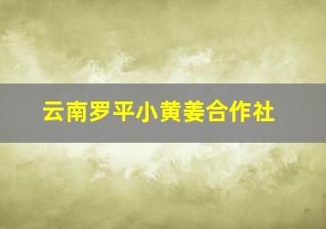 云南罗平小黄姜合作社