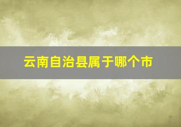 云南自治县属于哪个市