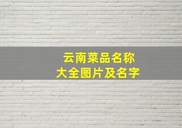 云南菜品名称大全图片及名字