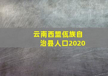 云南西盟佤族自治县人口2020