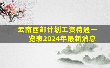 云南西部计划工资待遇一览表2024年最新消息