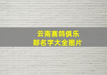 云南赛鸽俱乐部名字大全图片