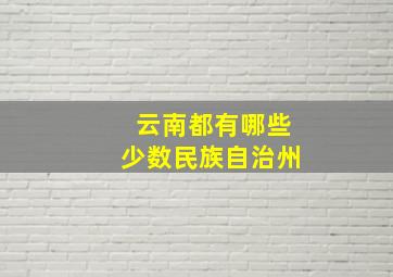 云南都有哪些少数民族自治州