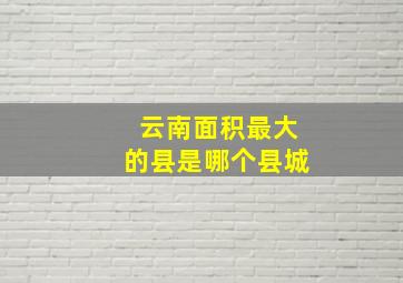 云南面积最大的县是哪个县城