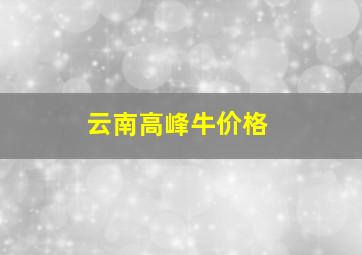 云南高峰牛价格