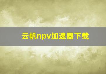 云帆npv加速器下载