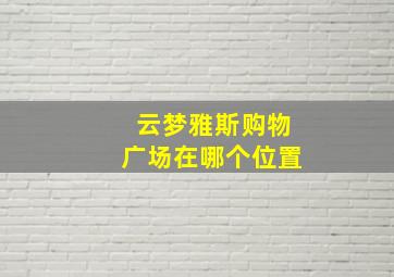 云梦雅斯购物广场在哪个位置