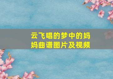 云飞唱的梦中的妈妈曲谱图片及视频