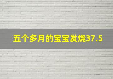 五个多月的宝宝发烧37.5