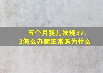 五个月婴儿发烧37.3怎么办呢正常吗为什么