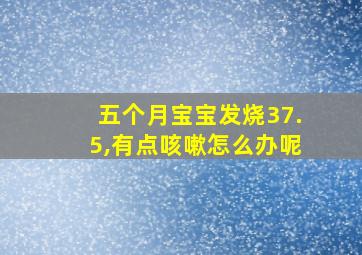 五个月宝宝发烧37.5,有点咳嗽怎么办呢