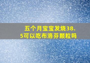 五个月宝宝发烧38.5可以吃布洛芬颗粒吗