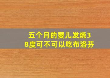 五个月的婴儿发烧38度可不可以吃布洛芬