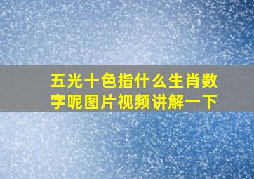 五光十色指什么生肖数字呢图片视频讲解一下