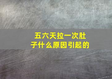 五六天拉一次肚子什么原因引起的