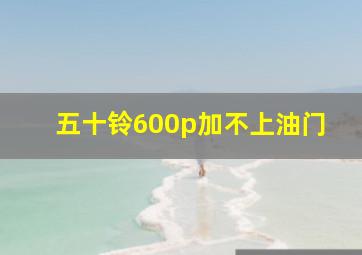 五十铃600p加不上油门