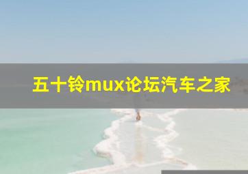 五十铃mux论坛汽车之家