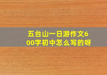 五台山一日游作文600字初中怎么写的呀