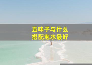 五味子与什么搭配泡水最好