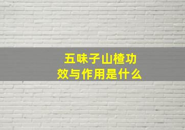 五味子山楂功效与作用是什么