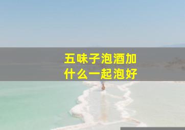 五味子泡酒加什么一起泡好