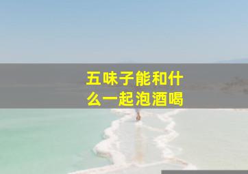 五味子能和什么一起泡酒喝