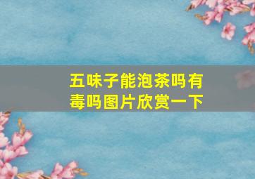 五味子能泡茶吗有毒吗图片欣赏一下