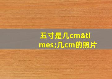 五寸是几cm×几cm的照片