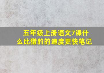 五年级上册语文7课什么比猎豹的速度更快笔记