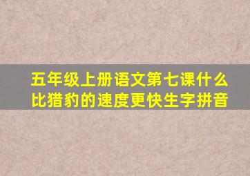 五年级上册语文第七课什么比猎豹的速度更快生字拼音