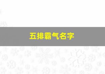 五排霸气名字