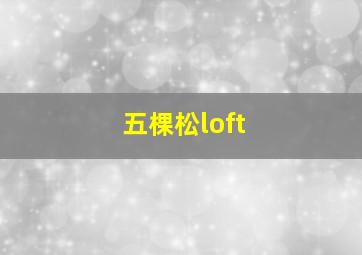 五棵松loft